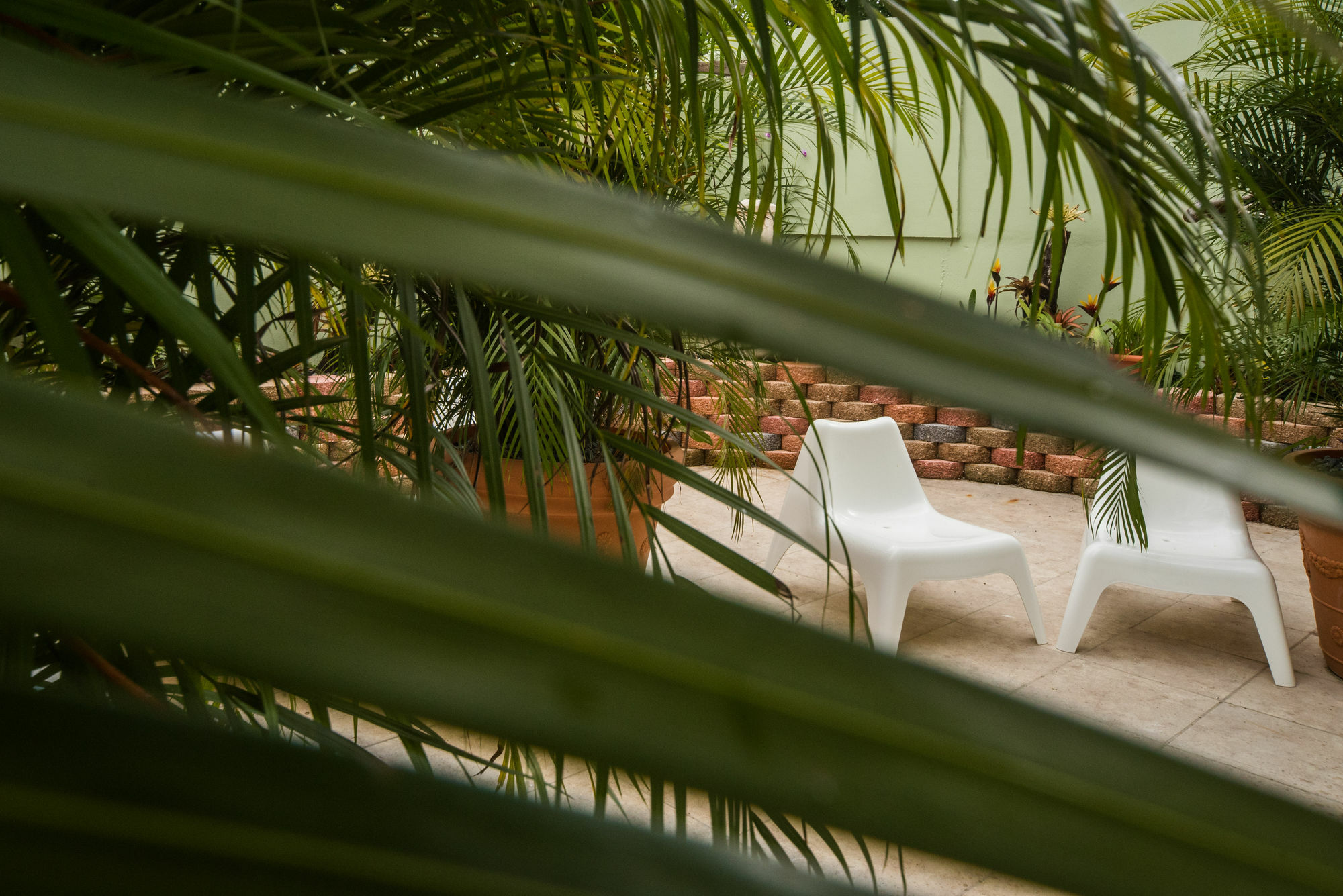 Rincon Plaza Hotel Exteriér fotografie